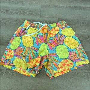 Chubbies Pineapple Print Men's Shorts - Multicolor